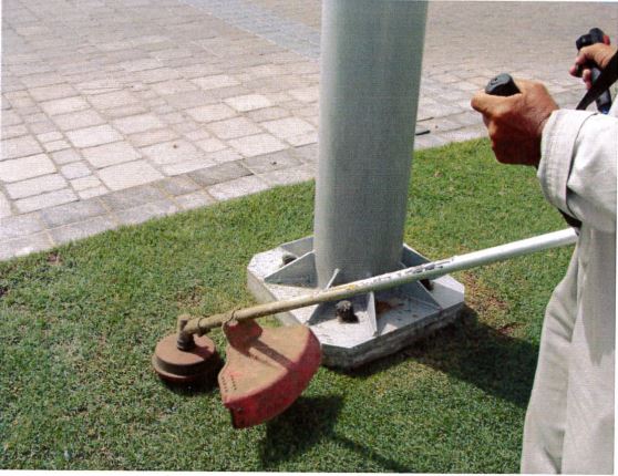 Landscape Maintenance