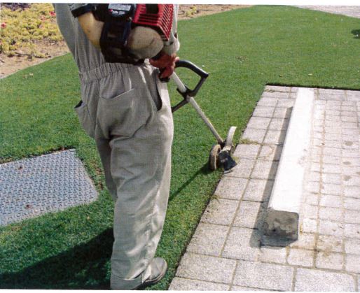 Landscape Maintenance